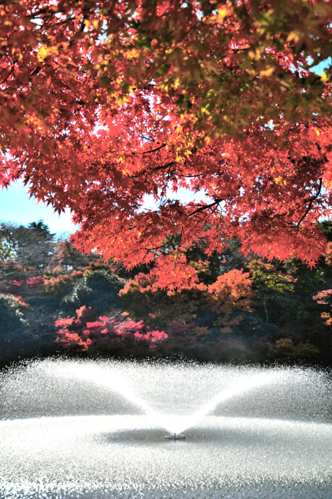 風景画像 / 高岡市内