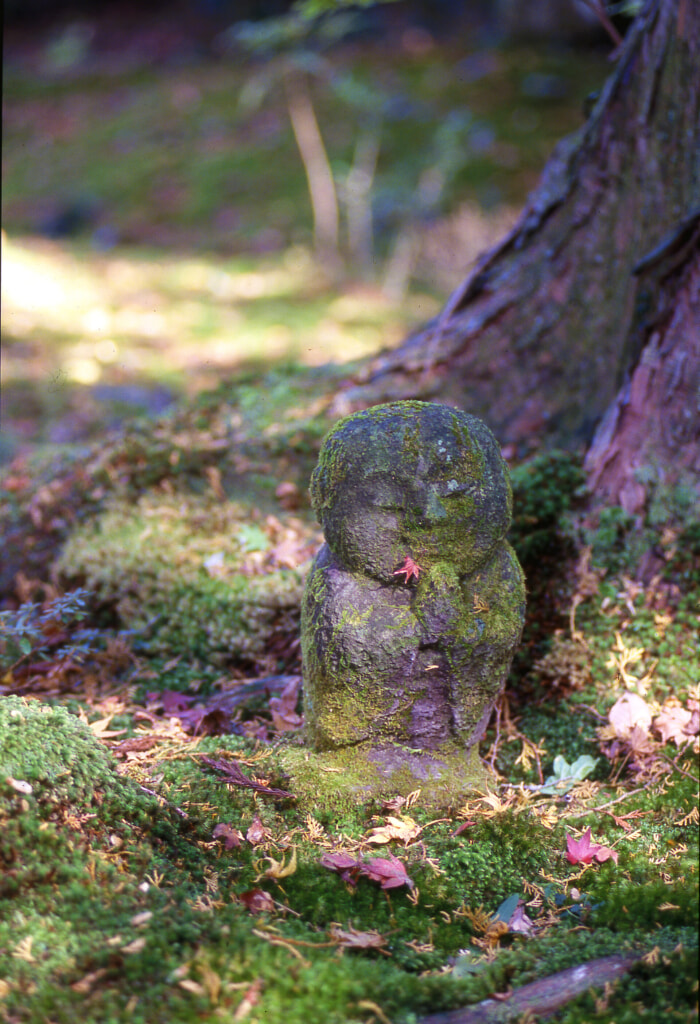 イメージ画像 / 私風景