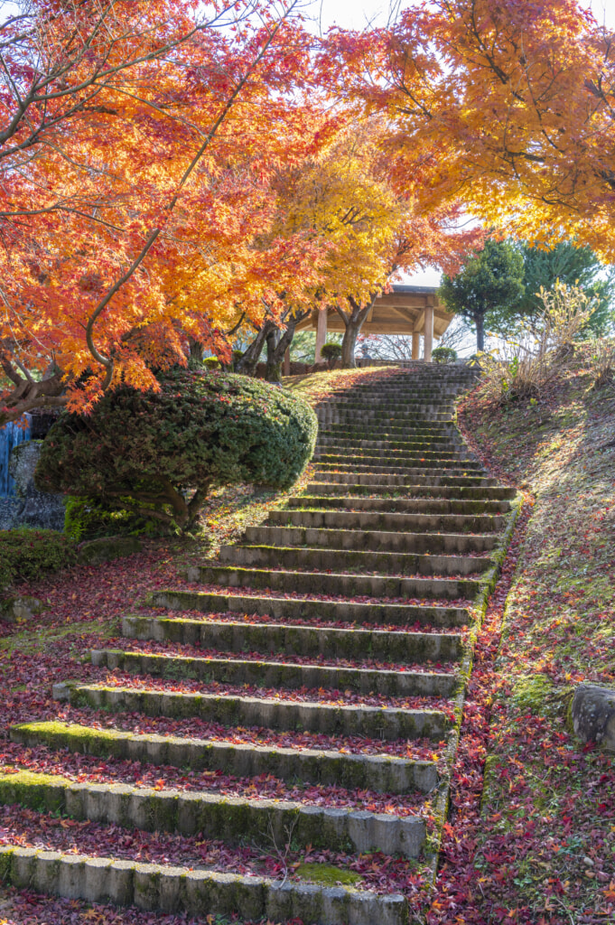 イメージ画像 / 私風景